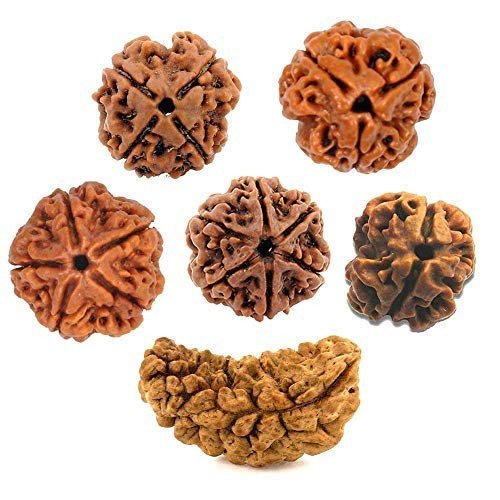 Rudraksha (Nepal)